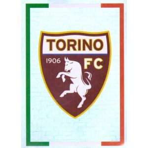 503 - Scudetto Torino